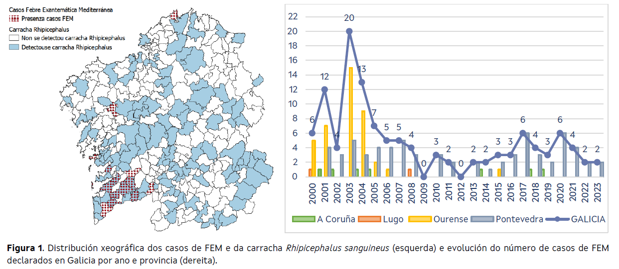 Captura de pantalla 2024-04-18 114124.png