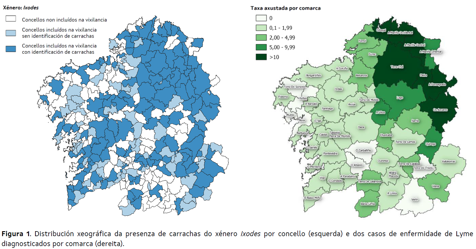 Captura de pantalla 2024-05-15 125057.png
