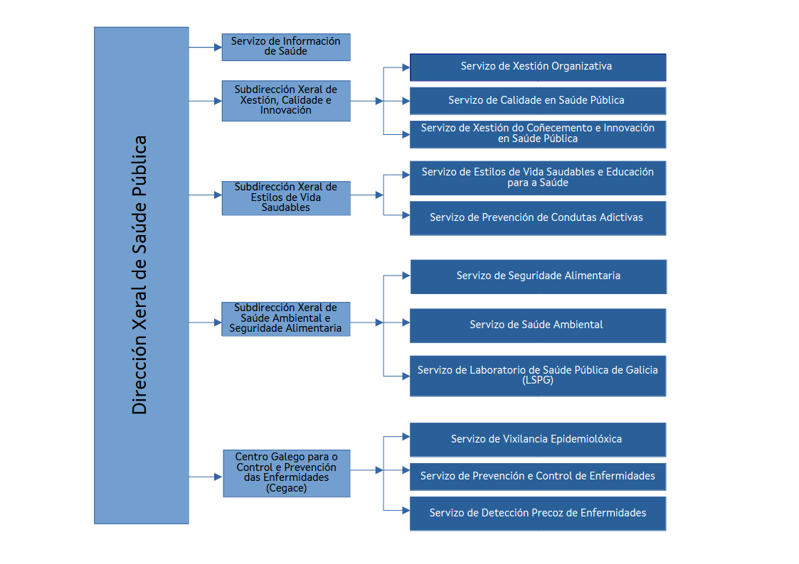 Organigrama DXSP 2025.png